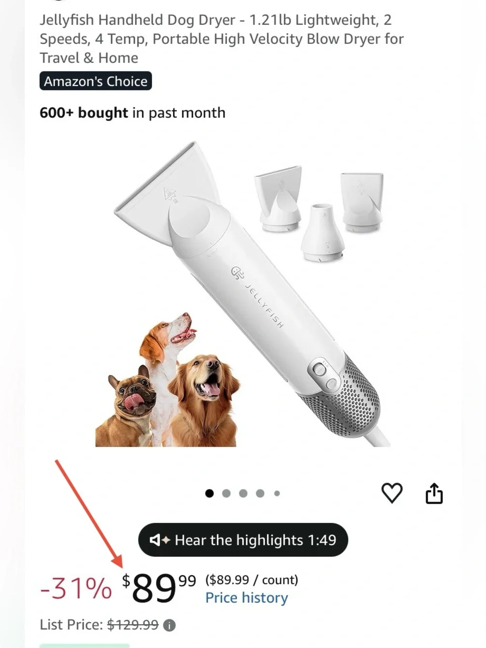 Handheld Powerful Pet Dryer - White